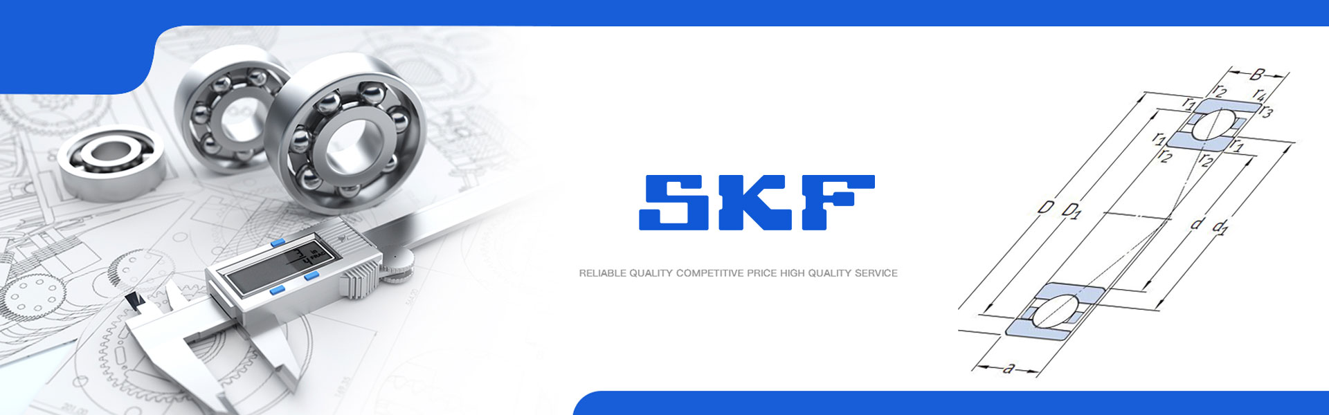SKF bearing