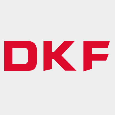 DKF Bearing