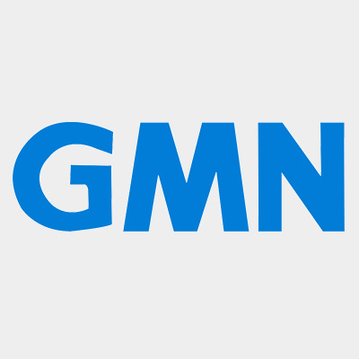 GMN Bearing